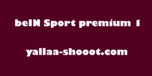 مشاهدة قناة بين سبورت بريميوم beIN Sport premium 1 بث مباشر